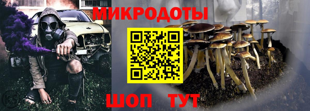 Галлюциногенные грибы MAGIC MUSHROOMS  Вход с VPN  Вышний Волочёк 
