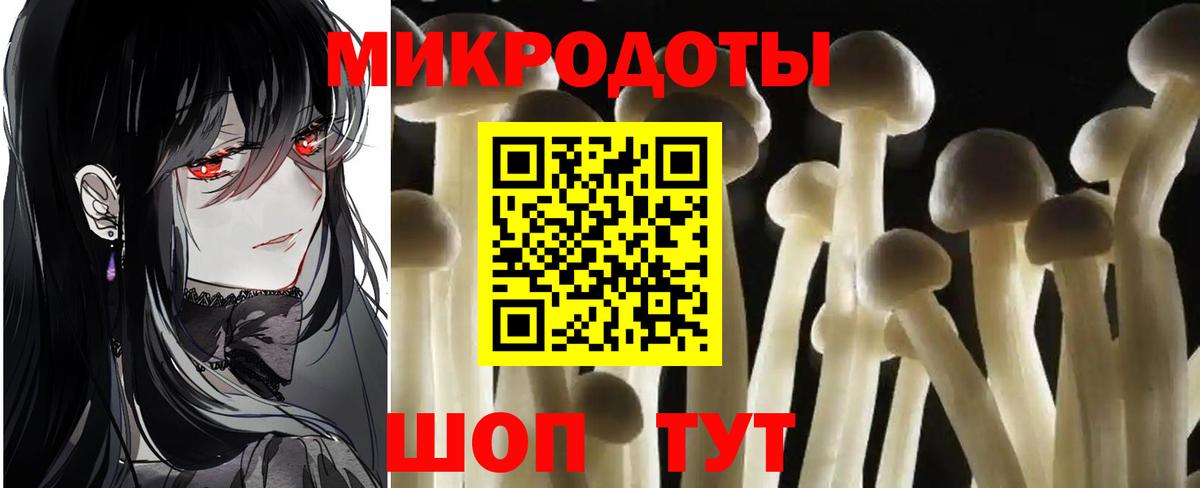 Галлюциногенные грибы MAGIC MUSHROOMS Вышний Волочёк